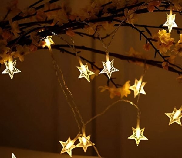 Star Light for Decoration Gifting with 10 Heads - 1.5 metre - Image 5