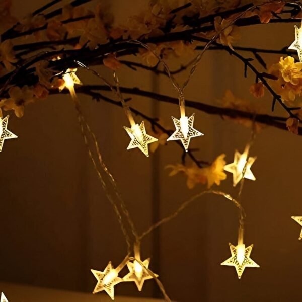 Star Light for Decoration Gifting with 10 Heads - 1.5 metre