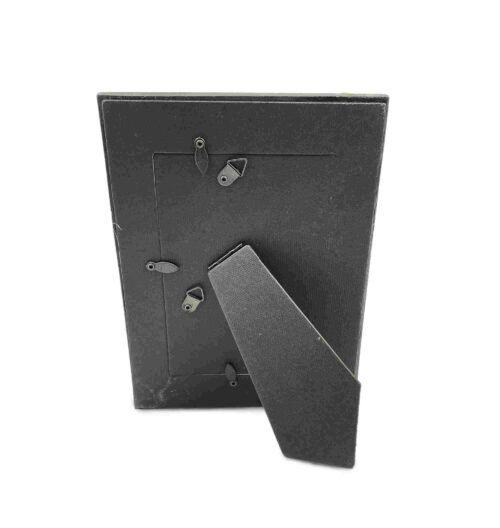 astronaut picture frames